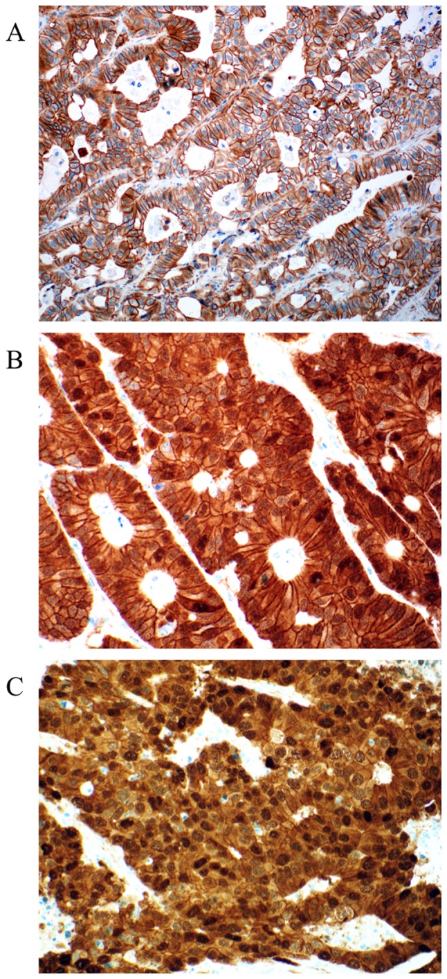 Figure 6.