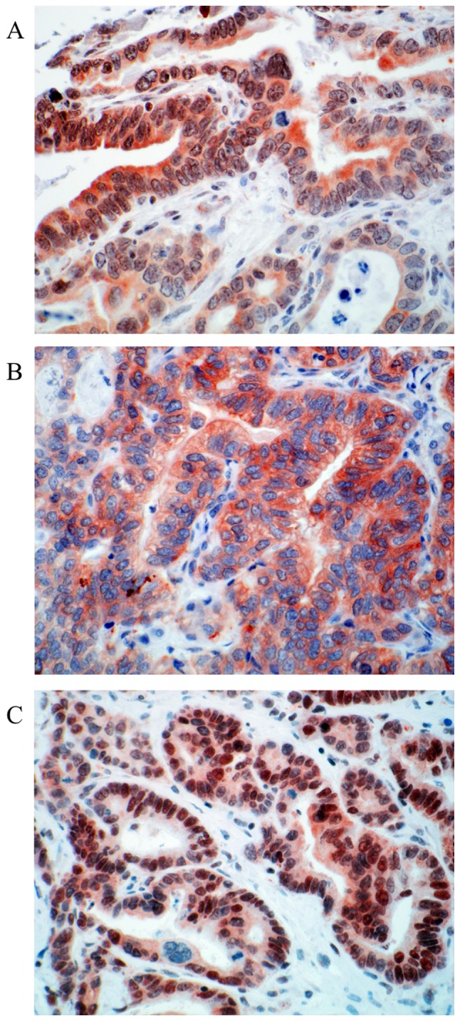 Figure 5.