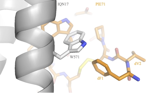 FIG. 3.