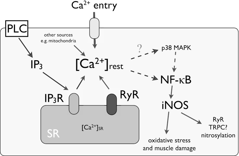 FIGURE 7.