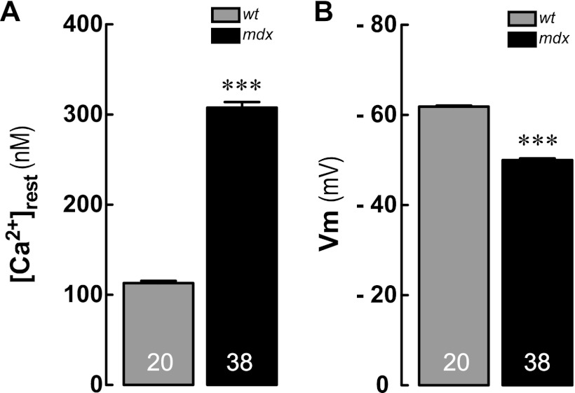 FIGURE 1.