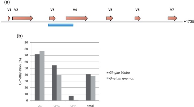 Fig. 6.—