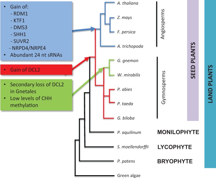 Fig. 7.—