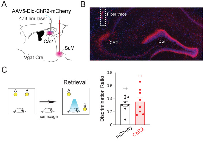 Figure 3—figure supplement 2.