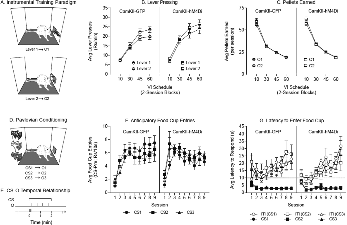 Fig 1: