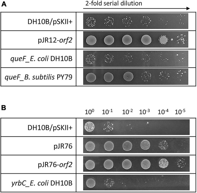 FIGURE 3