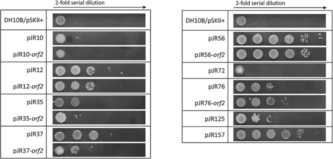 FIGURE 6