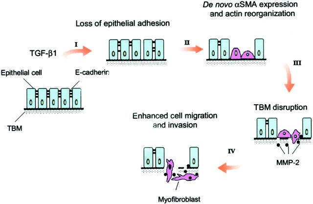 Figure 11.