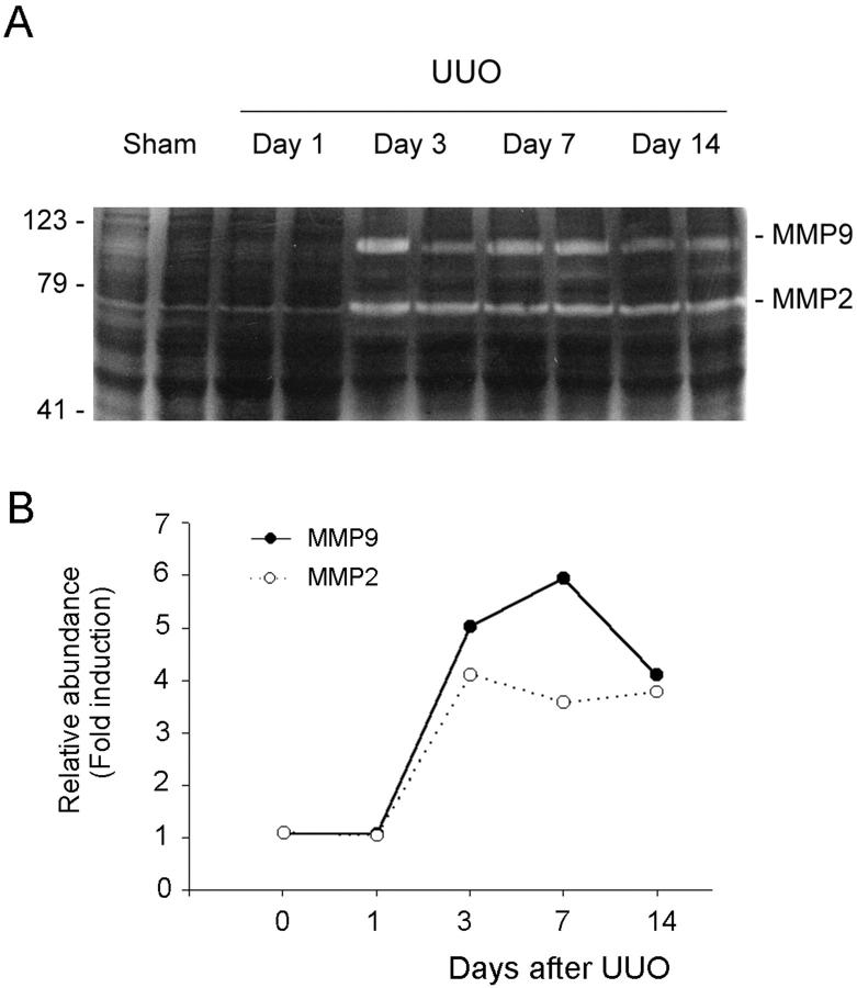 Figure 10.