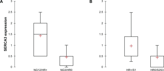 Figure 13.