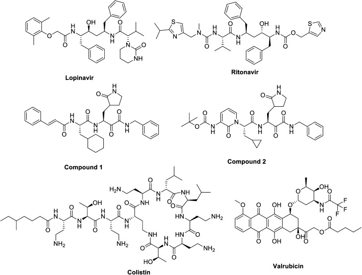 Fig. 7