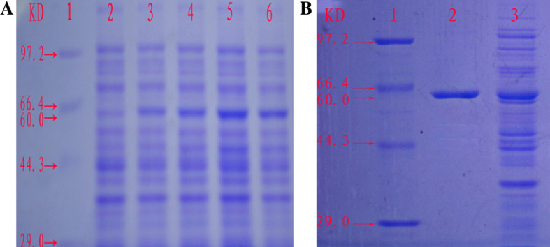 Fig. 3