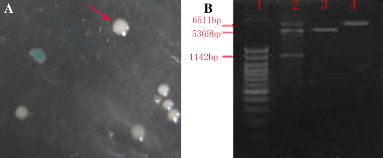 Fig. 2