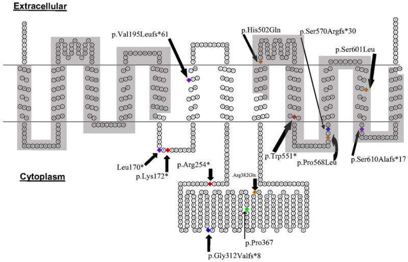 Fig. 1