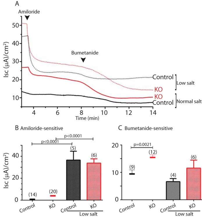 FIGURE 6.