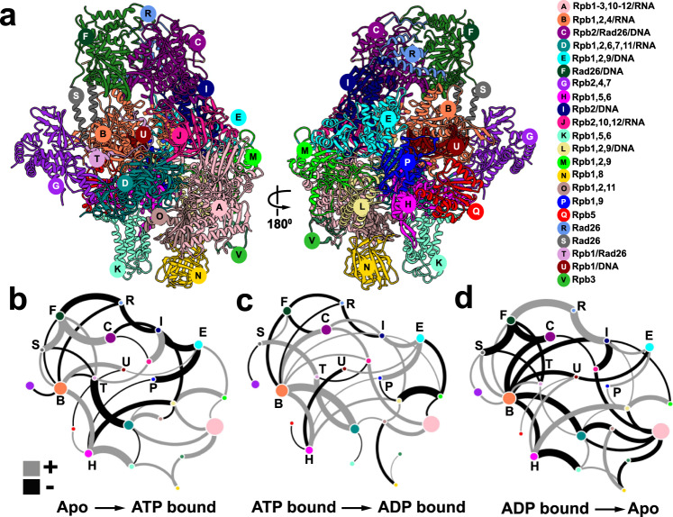 Fig. 4