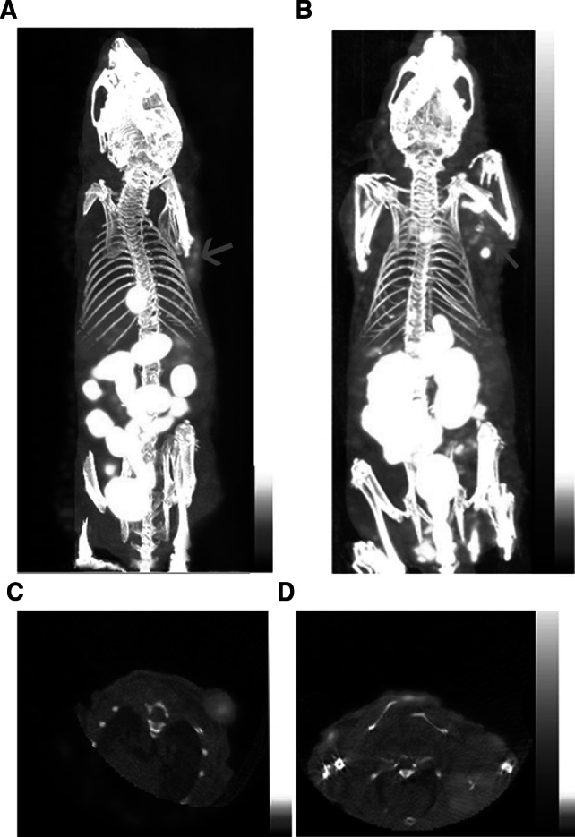 Fig. 5