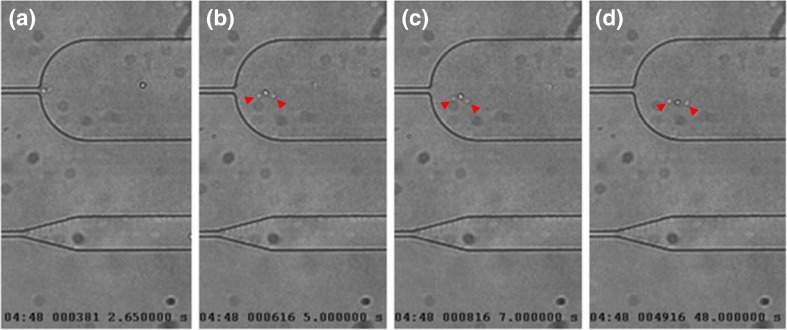 Fig. 11