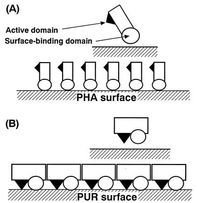 FIG. 7