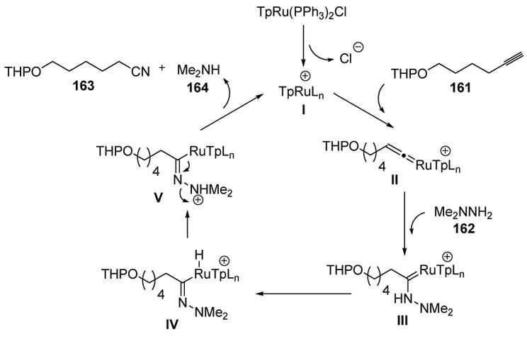 Scheme 53