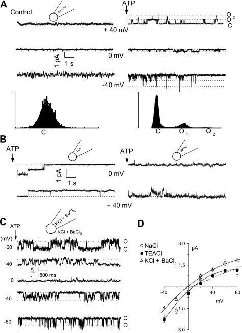 Fig. 8.