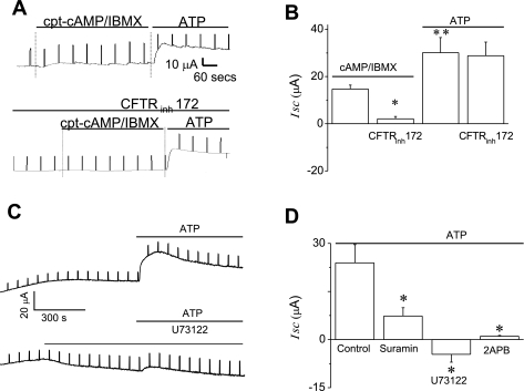 Fig. 9.