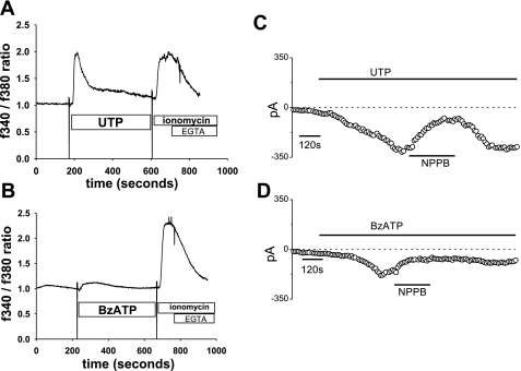 Fig. 3.