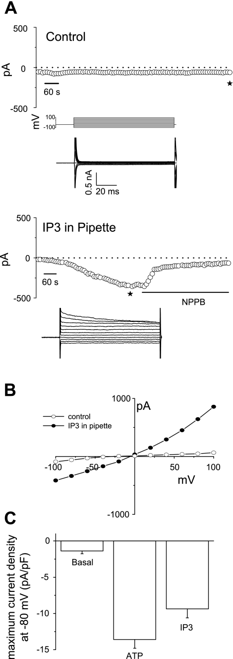 Fig. 7.