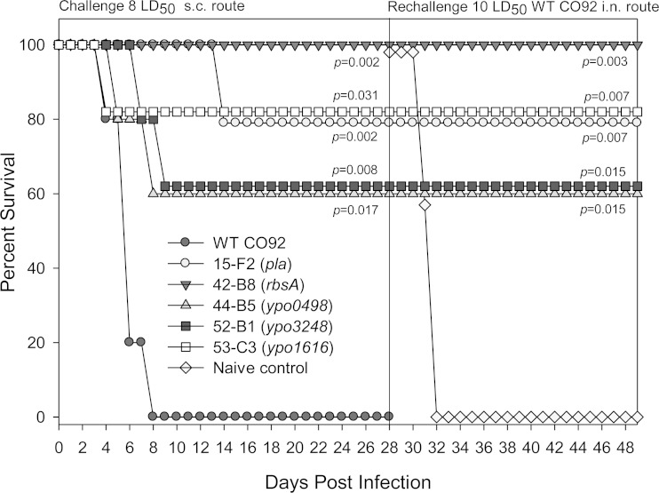 FIG 3