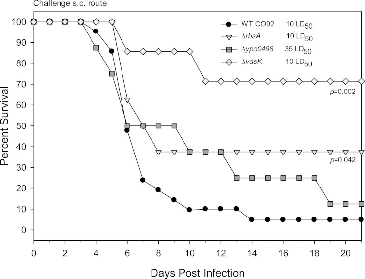 FIG 4