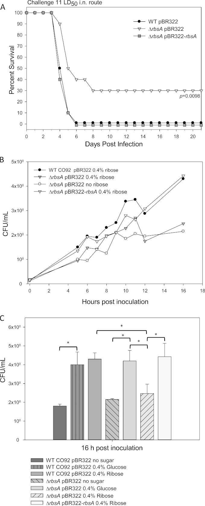 FIG 6