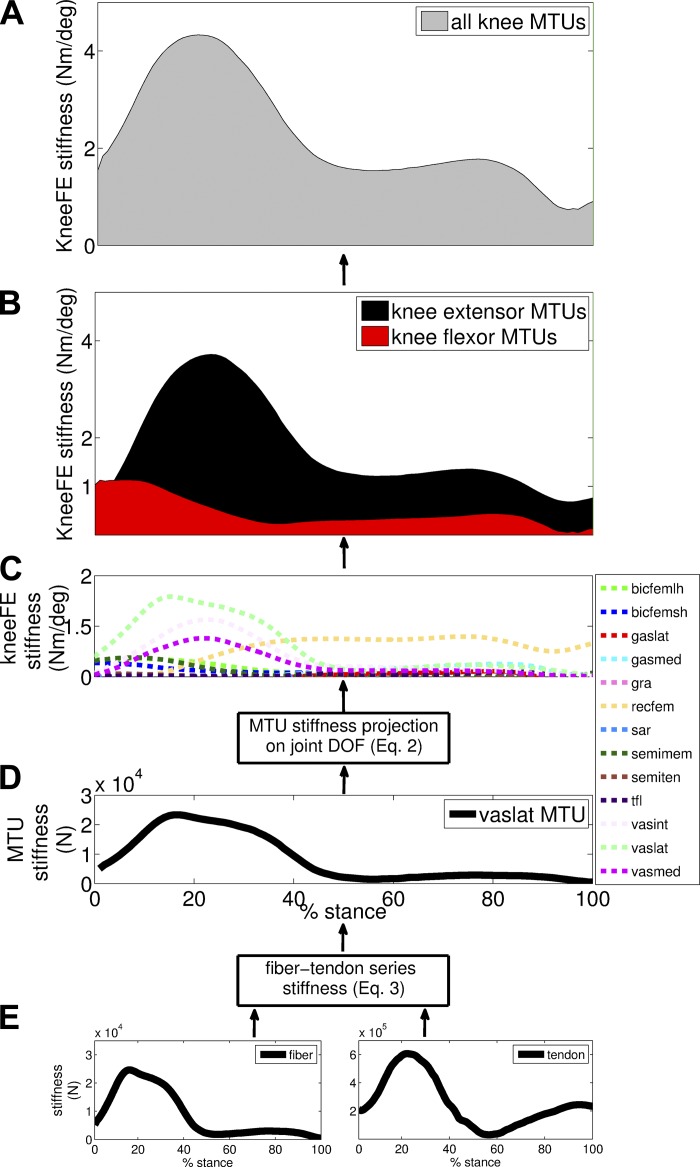 Fig. 11.