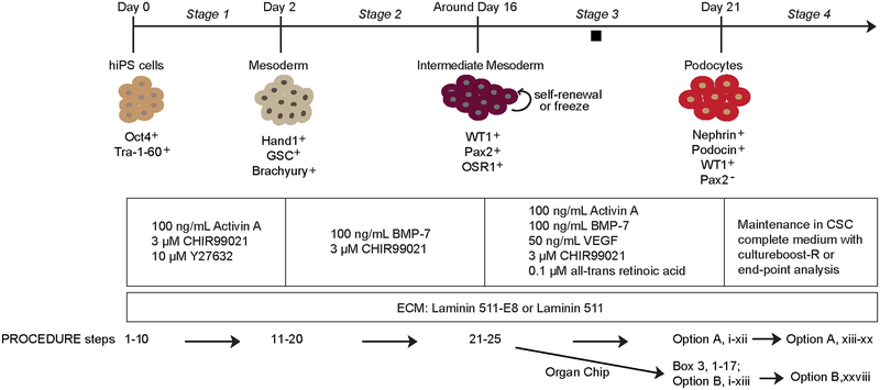 Figure 1|