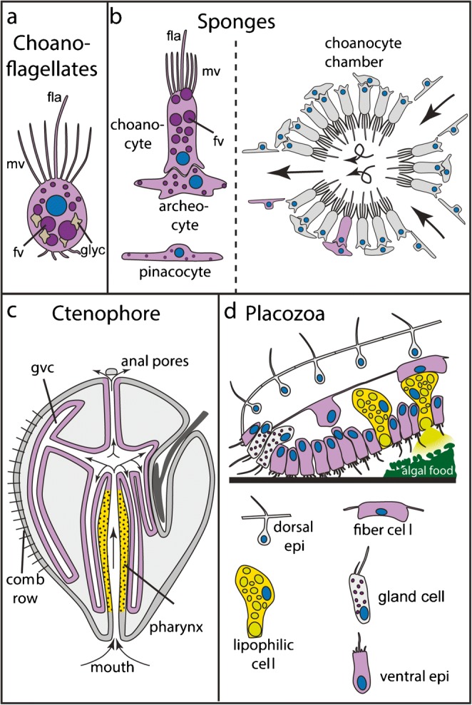 Fig. 2