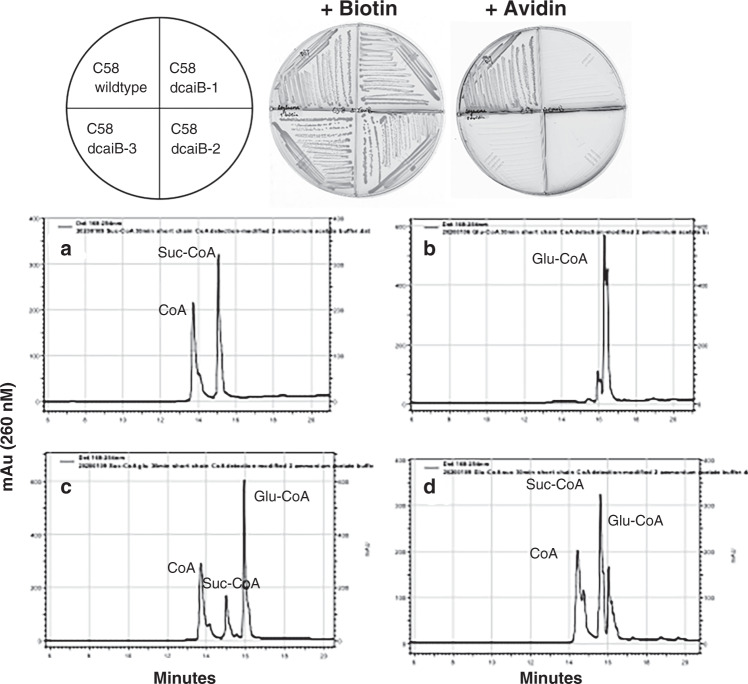 Fig. 9