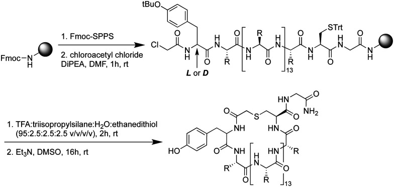 Scheme 1