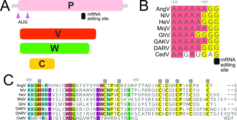 FIG 3