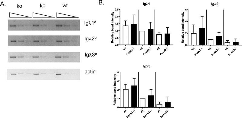 Figure 3: