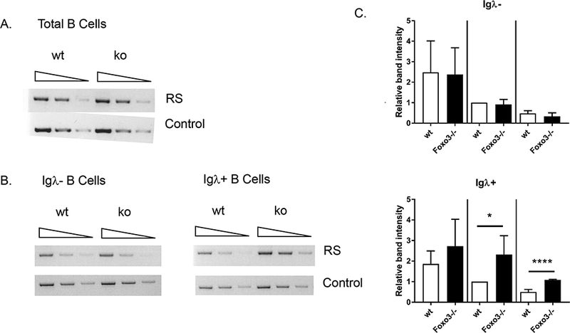 Figure 4: