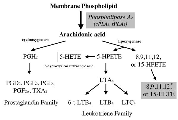 Figure 9.