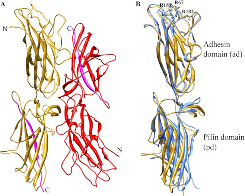 FIGURE 4.