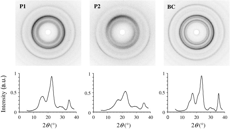 Fig. 3