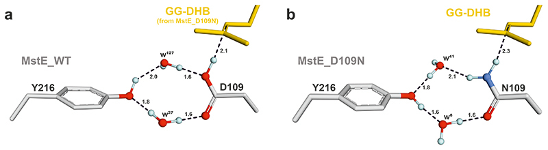 Extended Data Fig. 4