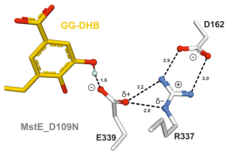 Extended Data Fig. 5