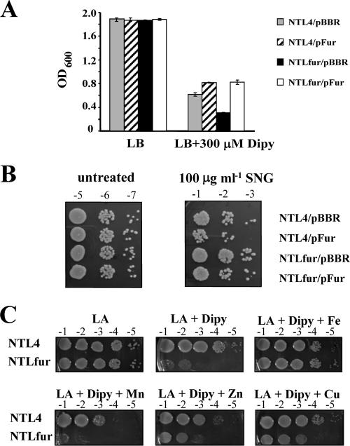 FIG. 2.