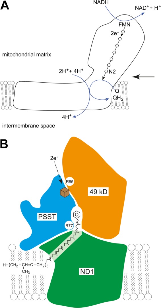 FIGURE 9.