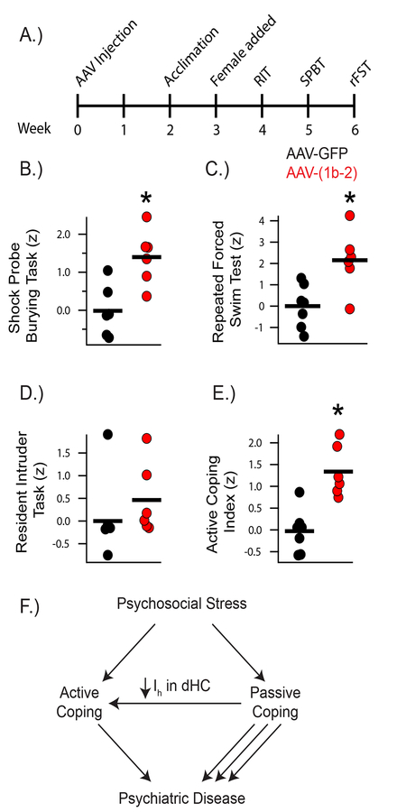 Figure 5: