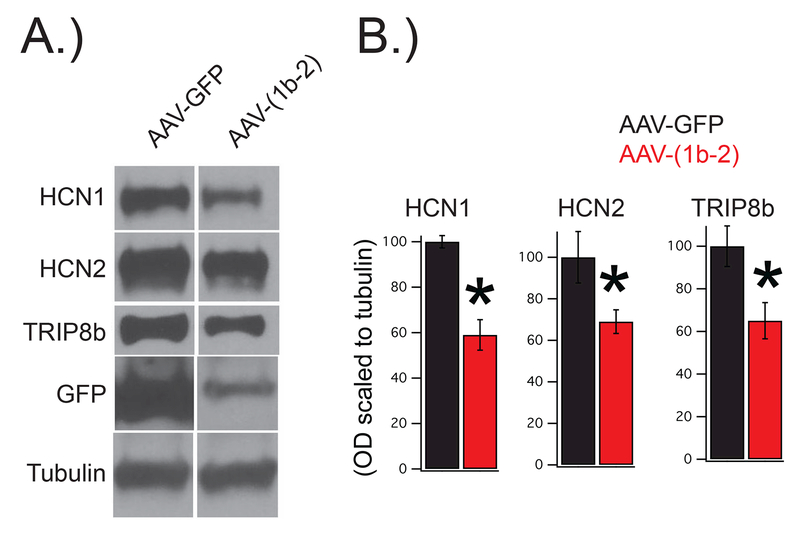 Figure 3: