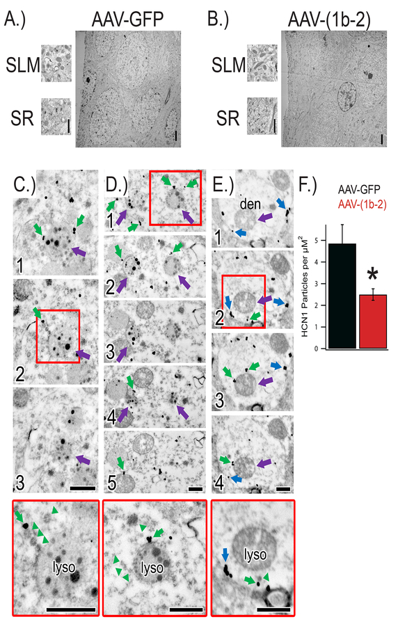 Figure 4: