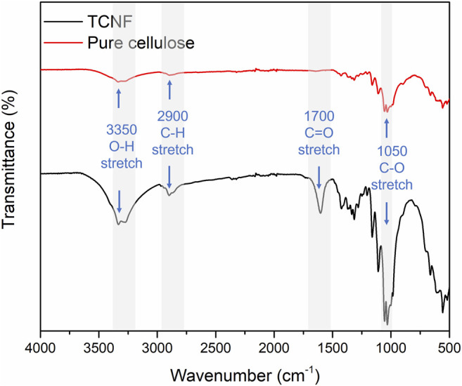 FIGURE 2